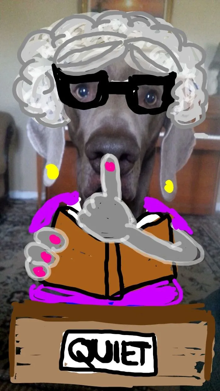The Librarian