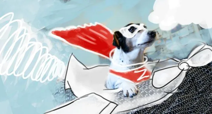 When Dogs Fly!