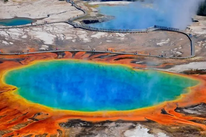 The Origin Of Life On Planet Earth