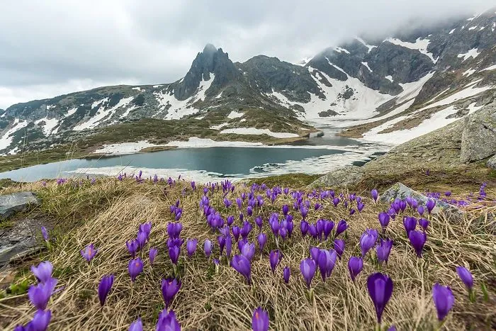 I Photograph The Undiscovered Beauty Of Bulgaria
