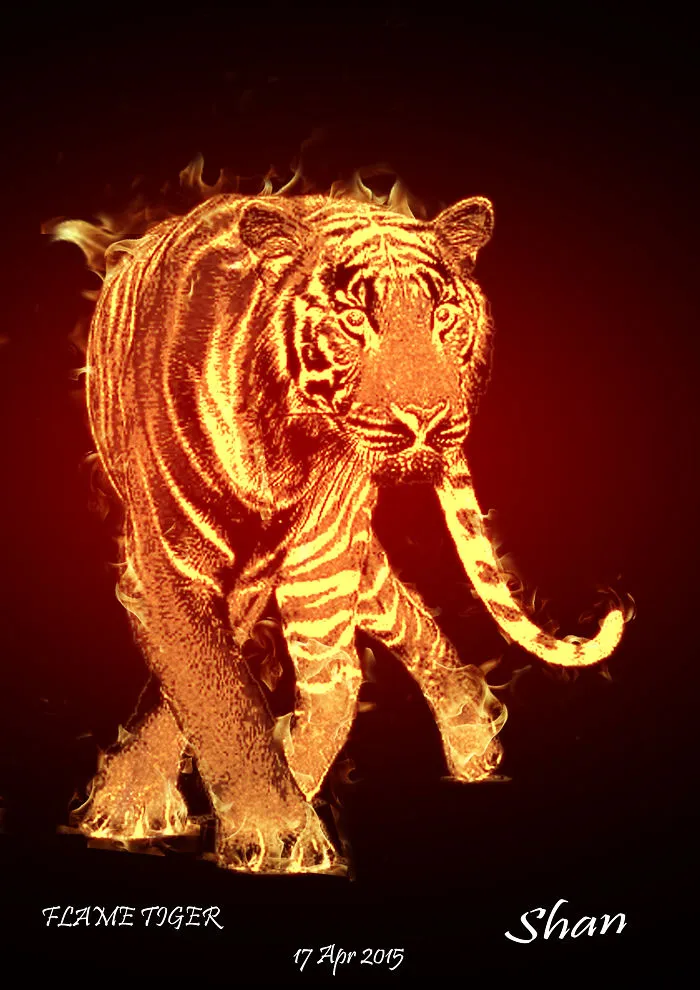Flaming Tiger