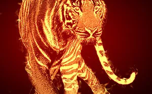 Flaming Tiger