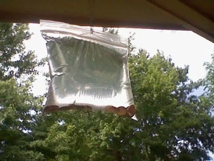 Here’s Why Some People Leave Bags Full Of Water Above Their Doors