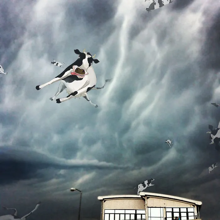 We Used Photography And Illustration To Make These Humorous And Surrealistic  Images With A Bit Of Uncanny Aftertaste
