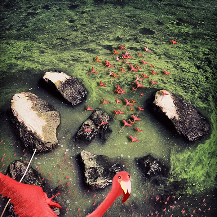 We Used Photography And Illustration To Make These Humorous And Surrealistic  Images With A Bit Of Uncanny Aftertaste