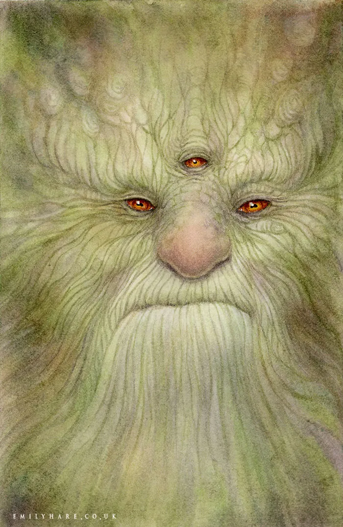 The Wizard In The Tree