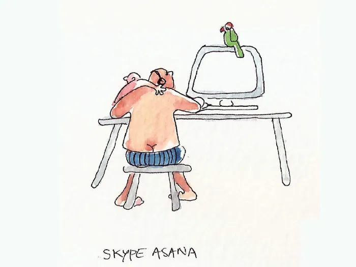 Skype "Asana"