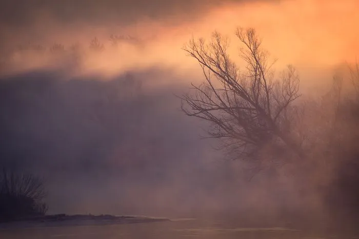 Misty River