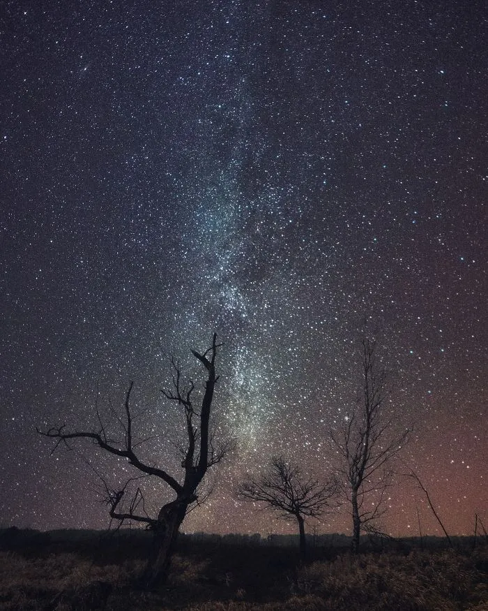 December Night Sky