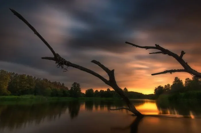 Last Rays