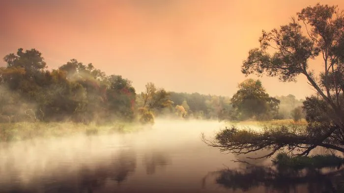 Misty Sunrise