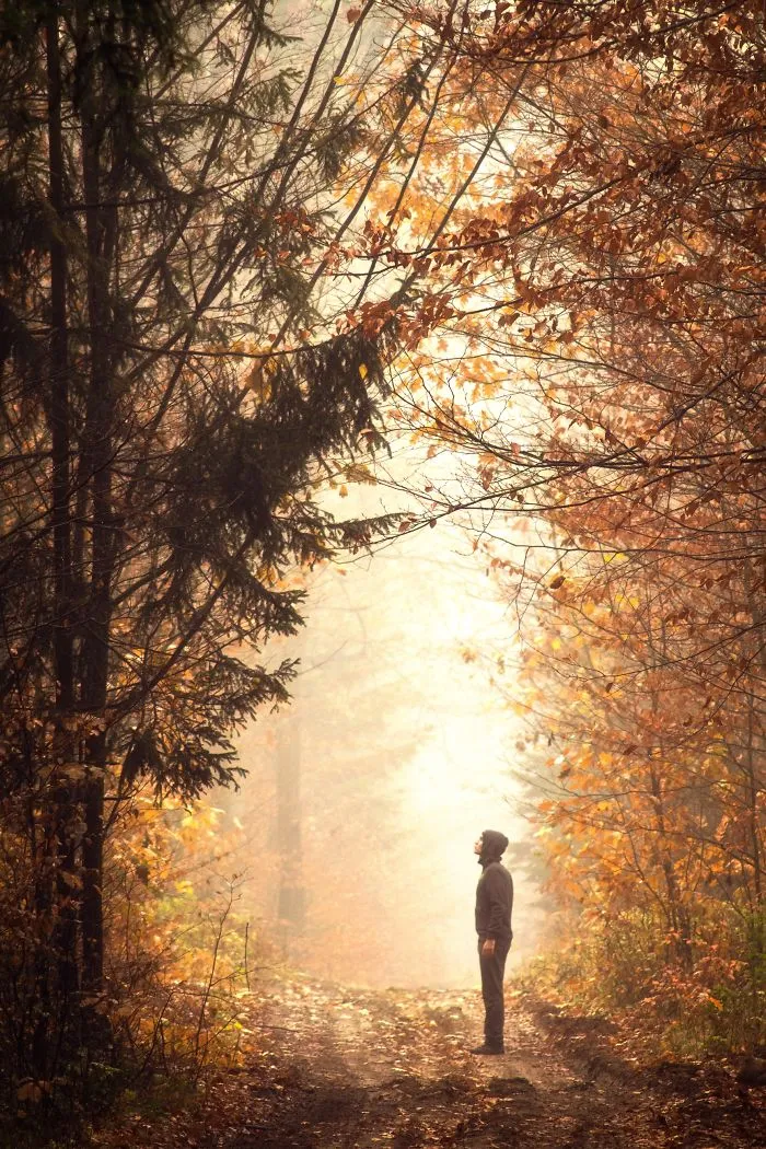 Forest Gate