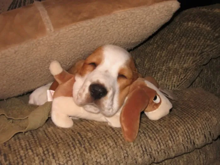 Duerme con una versión pequeñita de si mismo