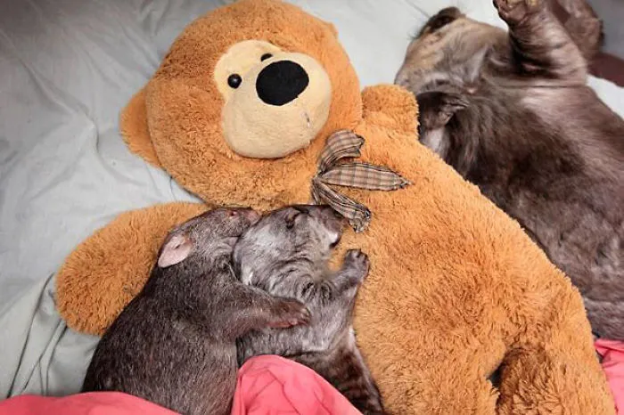 Spooning