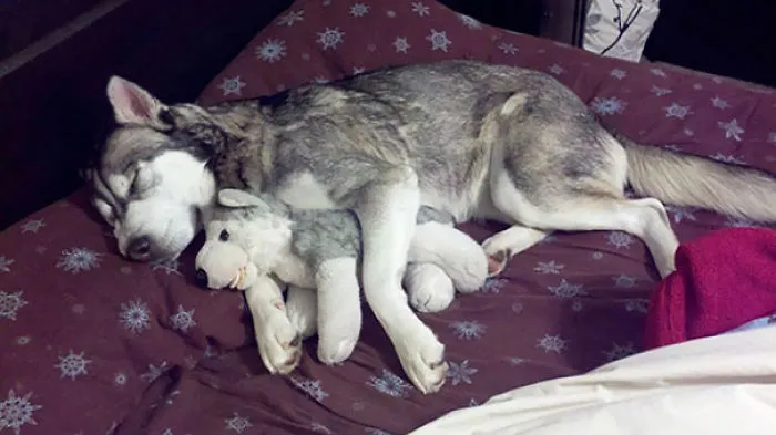 Napping With His Mini-Me