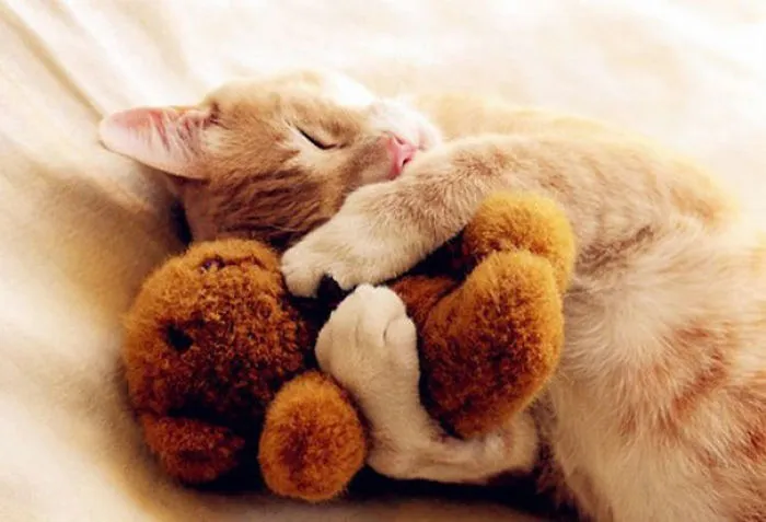 Snuggling Together