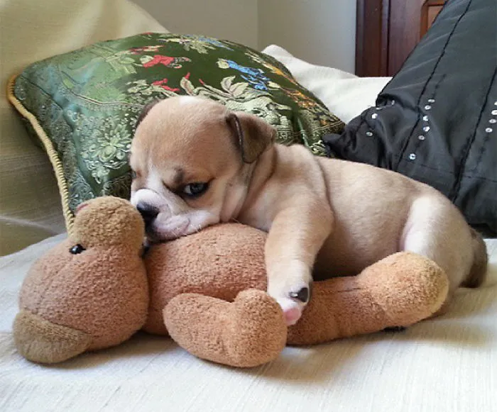 Way Too Cute!