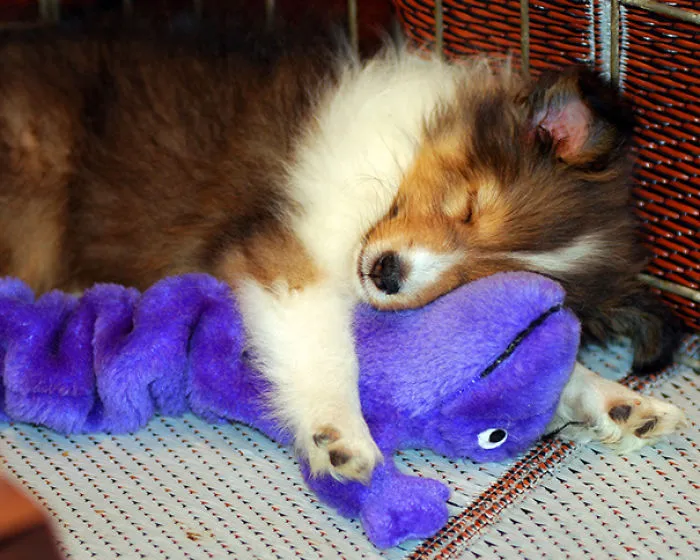 Monsters Are Not Scary If You Cuddle Them