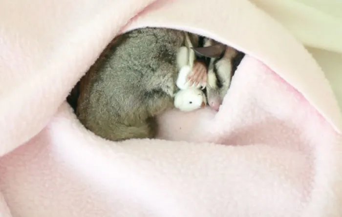 Peluche diminuto