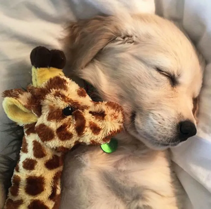 Naptime