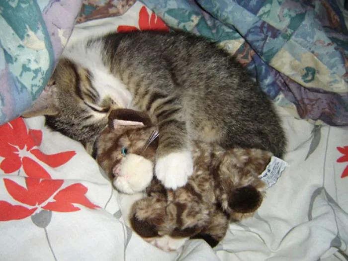 Snuggle Time
