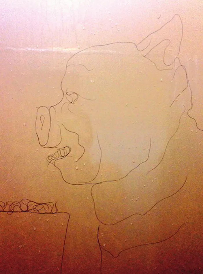 This Girl Accidentaly Created A "Drawing" Using Her Shower Hair, And Now She Can't Stop