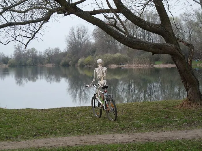 The Bicycle 1