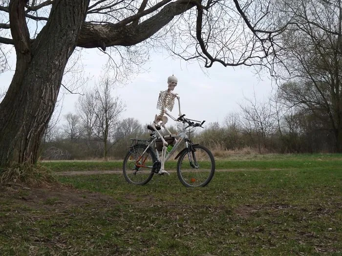 The Bicycle 2