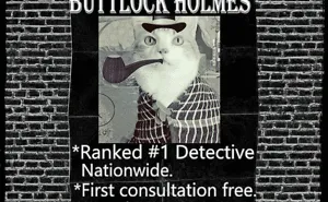 Buttlock Holmes Cat Detective Can Crack Any Case!