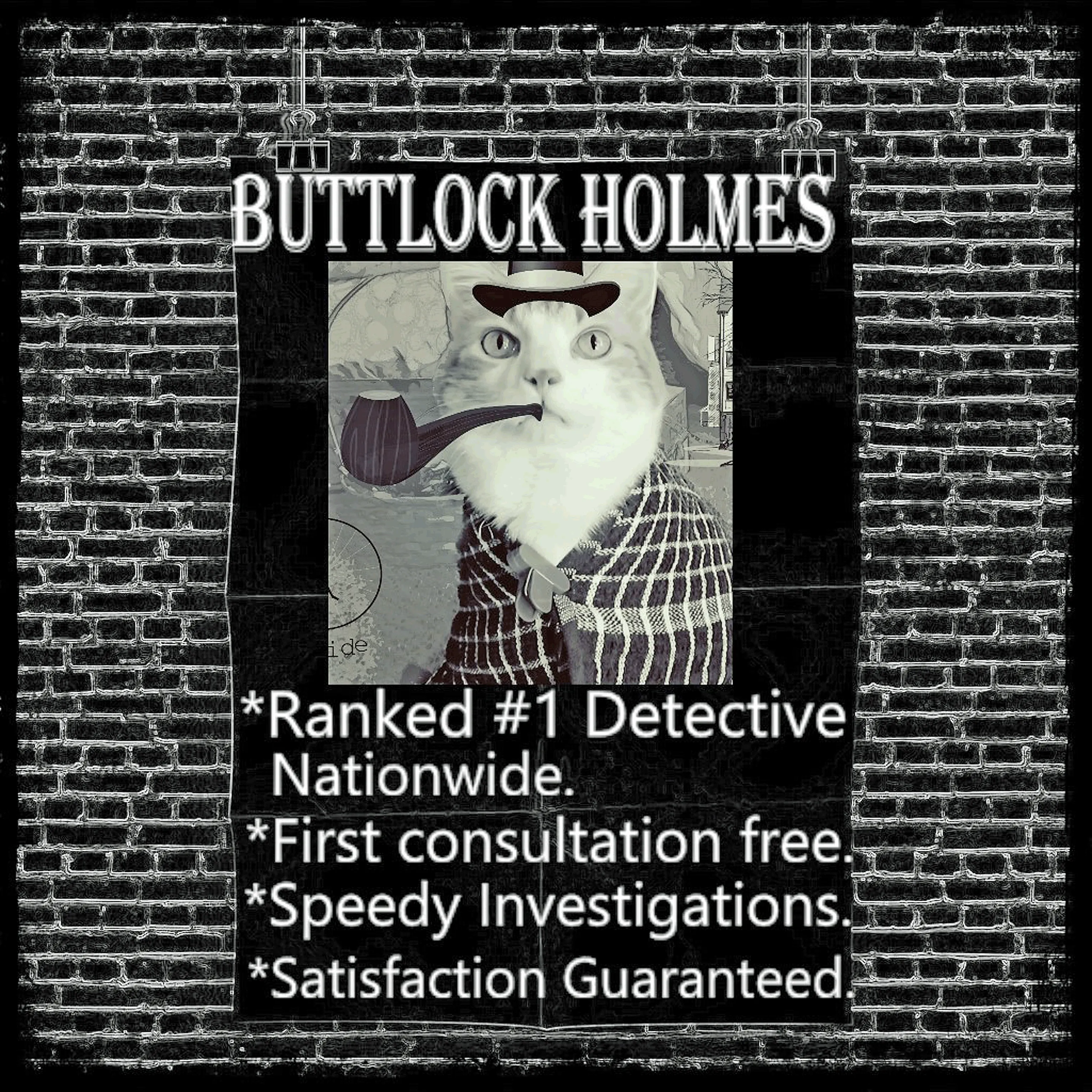 Buttlock Holmes Cat Detective Can Crack Any Case!