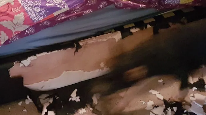 Apparently The Bed Started It