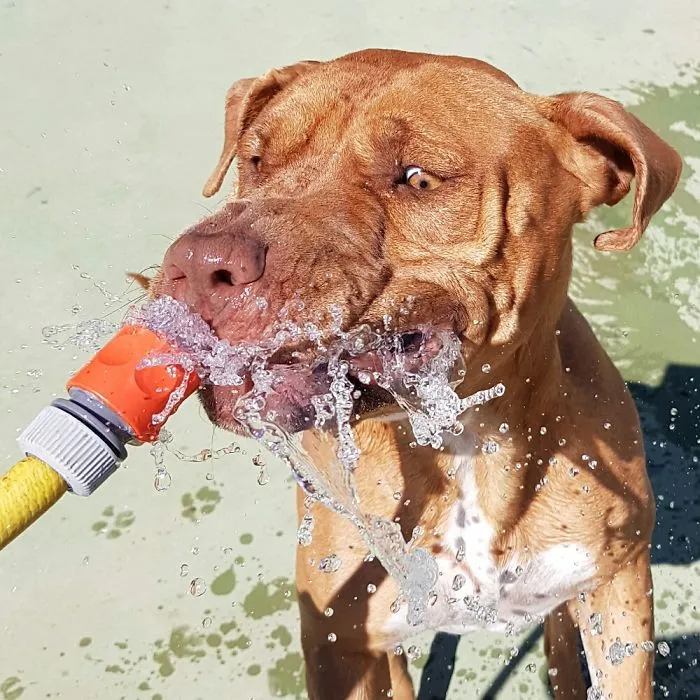 She Is Just In Love With Water