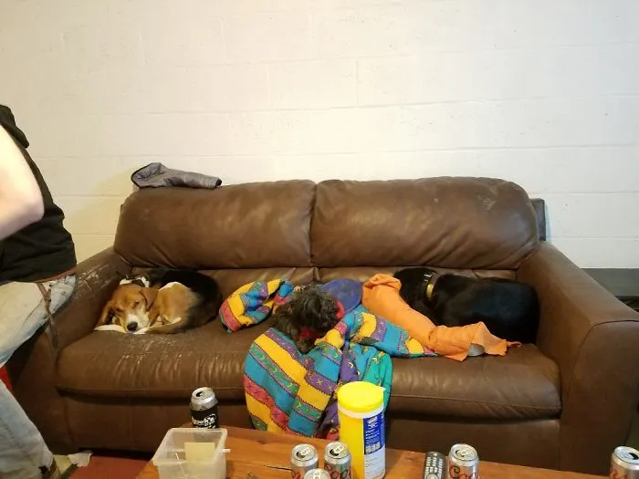 Nap Time Anyone!!!!