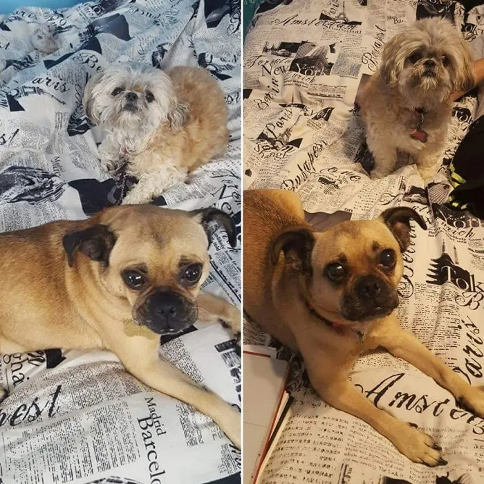 My Girls. Always Taking Up The Bed And I Never Get To Have It To Myself... I'm Okay With It