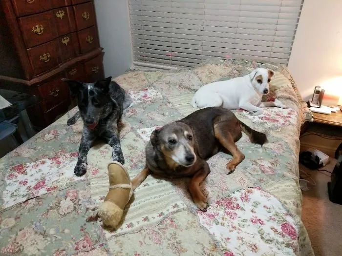 Oh, I'm Sorry. Did You Want To Lie Down?