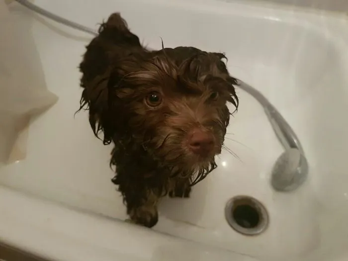 He Loves It