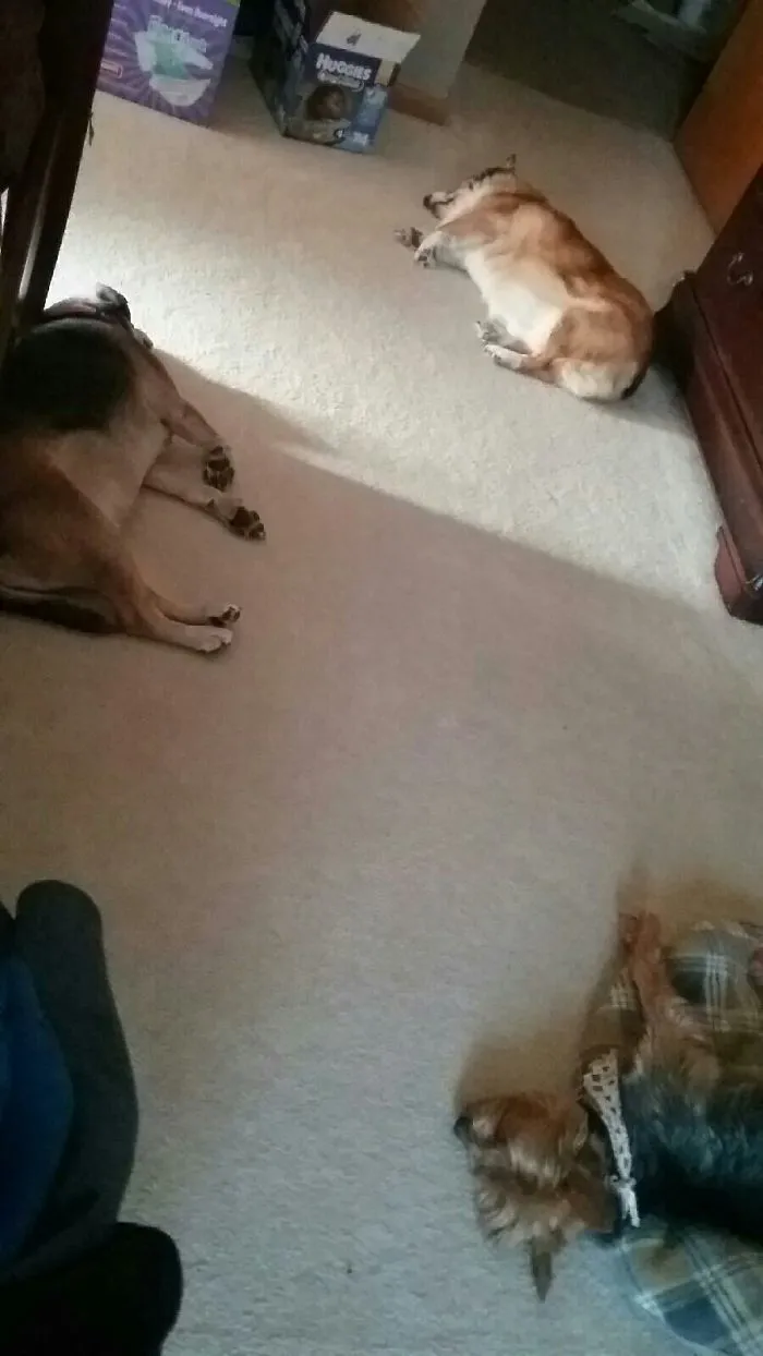 What I Wake Up To Every Morning.