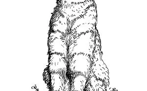 I Made The Cutest Animals So You Don`t Have To.
