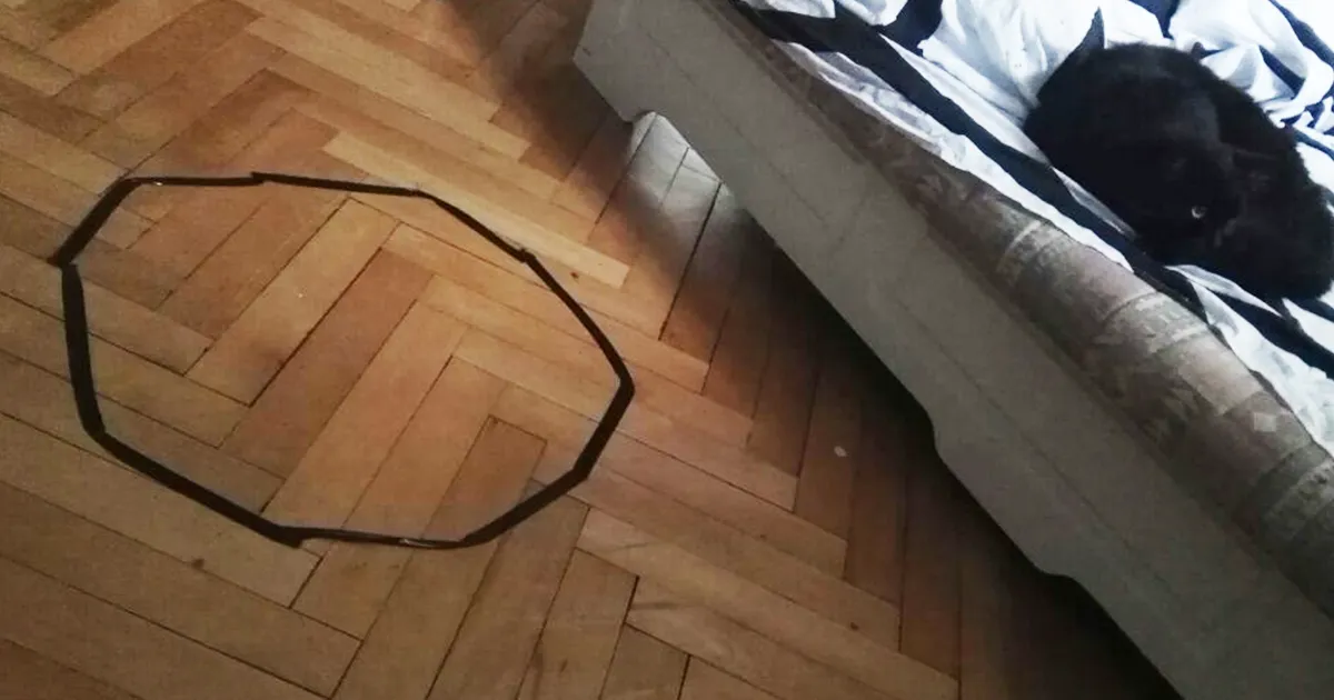 Este hombre no conseguía que su gato se sentara en el círculo, hasta que descubrió algo inquietante