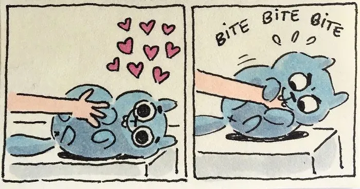I Capture What It's Like Living With My Cats