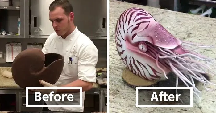 100% Chocolate Nautilus Sculpture