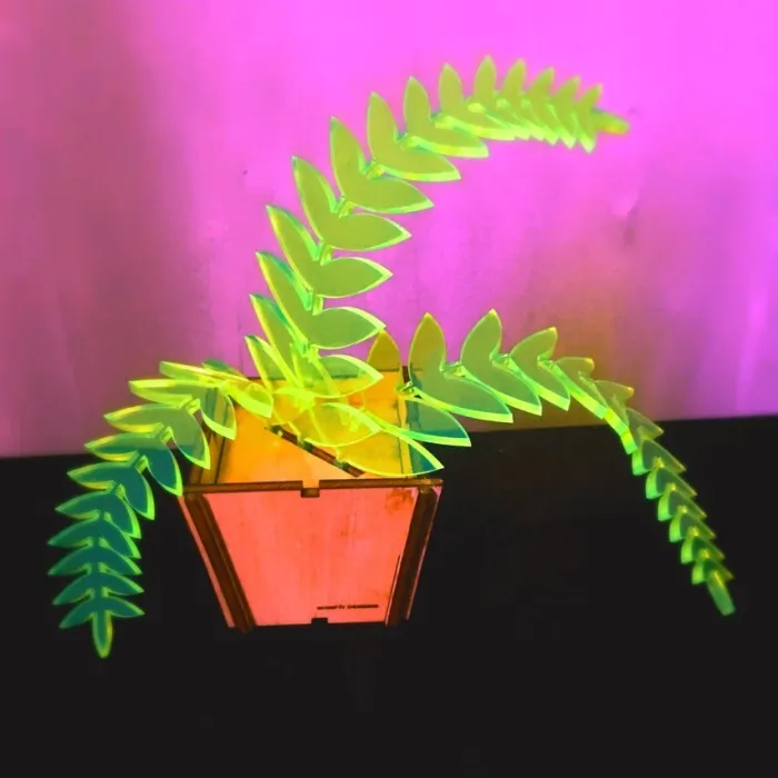 I Create Fluorescent Acrylic Plant Sculptures