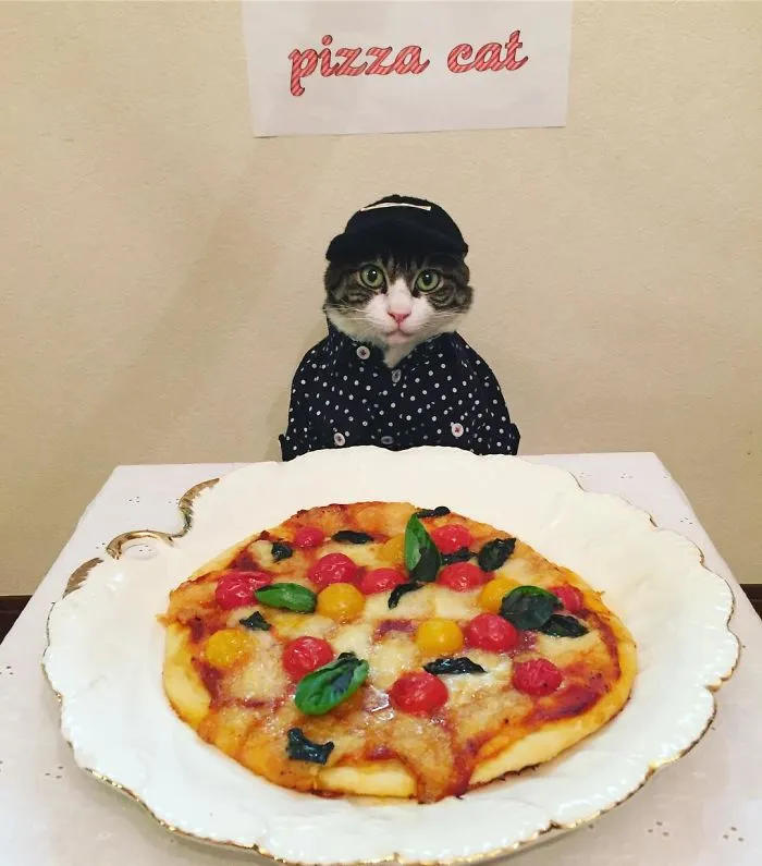 Cosplaying Cat Chef Dines With His Mom Every Night In Different Outfit