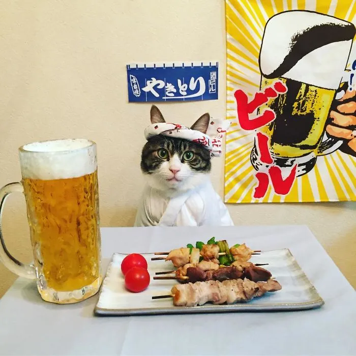 Este gato chef cena cada noche con su dueña vistiendo un disfraz distinto