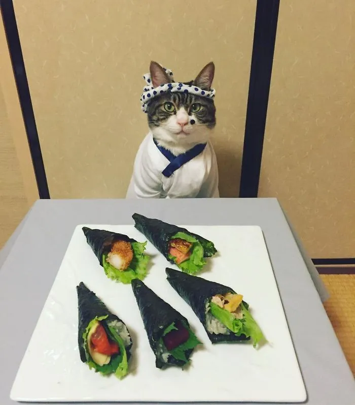 Cosplaying Cat Chef Dines With His Mom Every Night In Different Outfit