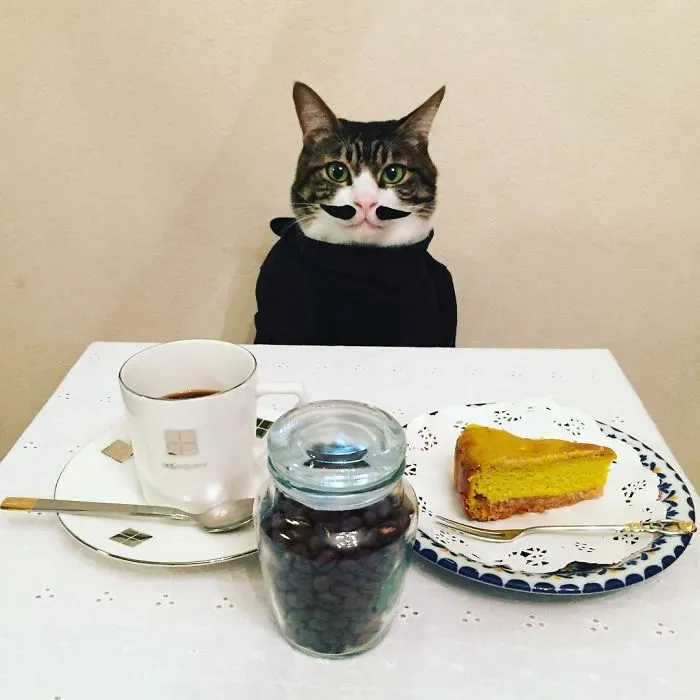 Cosplaying Cat Chef Dines With His Mom Every Night In Different Outfit