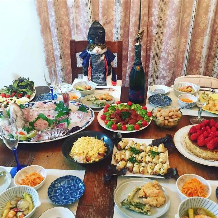 Este gato chef cena cada noche con su dueña vistiendo un disfraz distinto