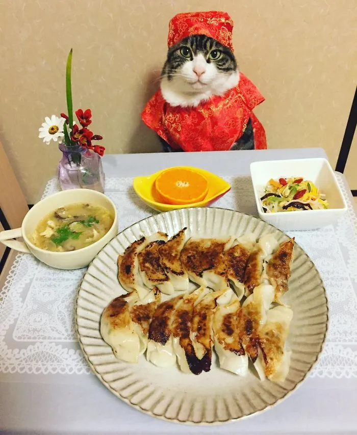 Cosplaying Cat Chef Dines With His Mom Every Night In Different Outfit