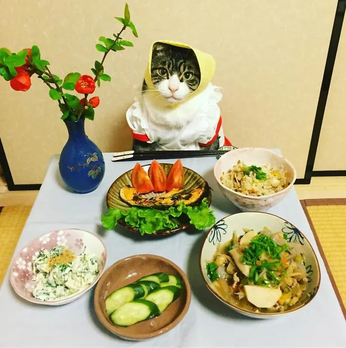 Cosplaying Cat Chef Dines With His Mom Every Night In Different Outfit