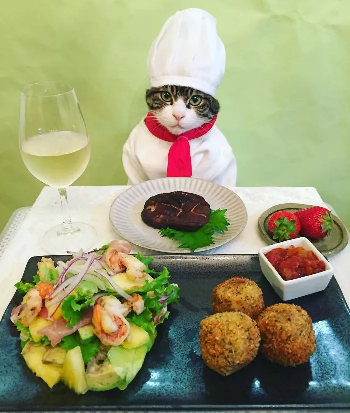 Cosplaying Cat Chef Dines With His Mom Every Night In Different Outfit